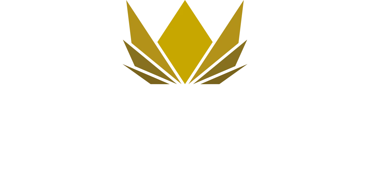 Ouro Preto Investimentos